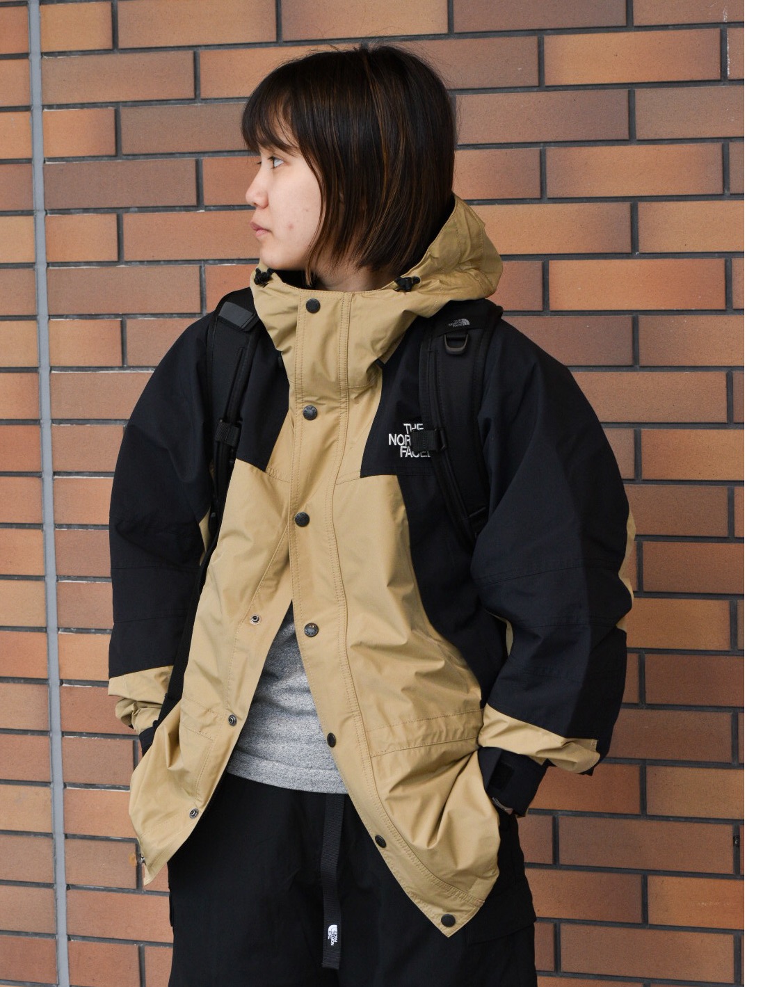 rm-7451) THE NORTH FACE マウンテンライトジャケット