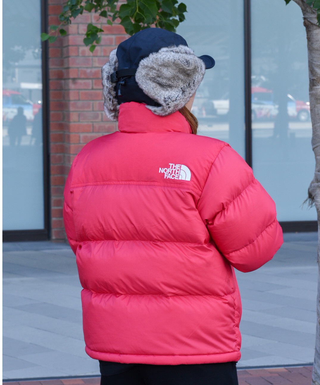 tnf-st-nuptsejkt_20.jpg