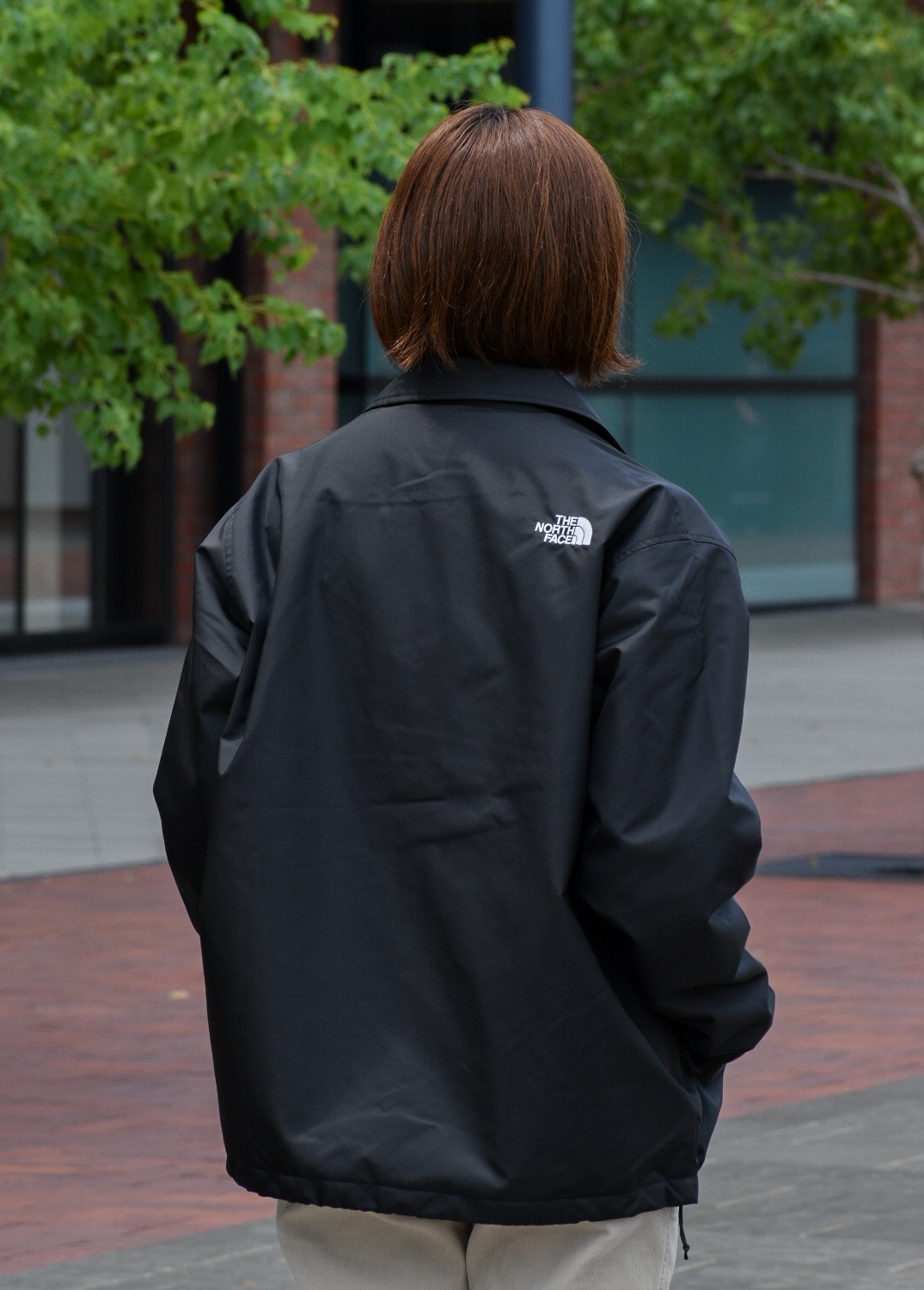 THE NORTH FACE コーチジャケット入荷‼︎ │ザ・ノース